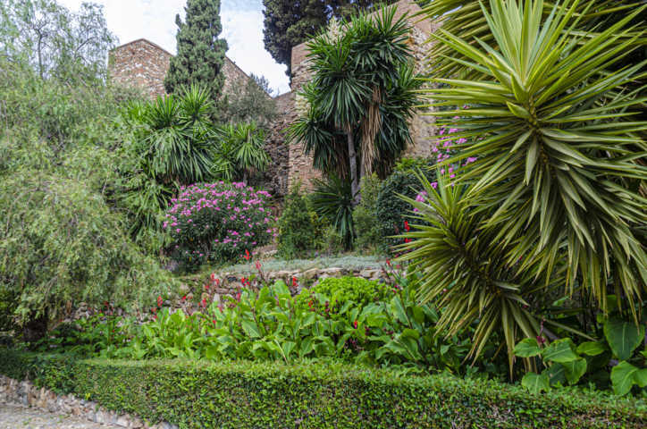 Málaga 092 - Alcazaba.jpg